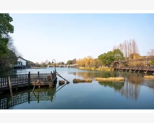 橘红化痰止咳清肺，中医理论应运而生